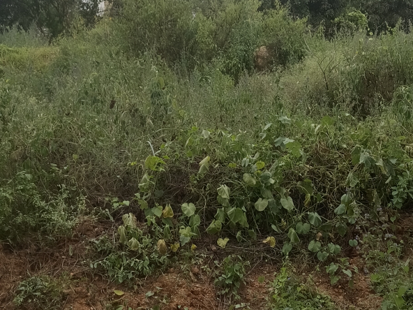 30x40 BDA site anjanapura